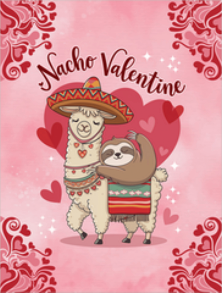 Nacho Valentine - Sherpa Fleece (super fluffy) Blanket- Valentine Collection!  (Fun size & Full size)